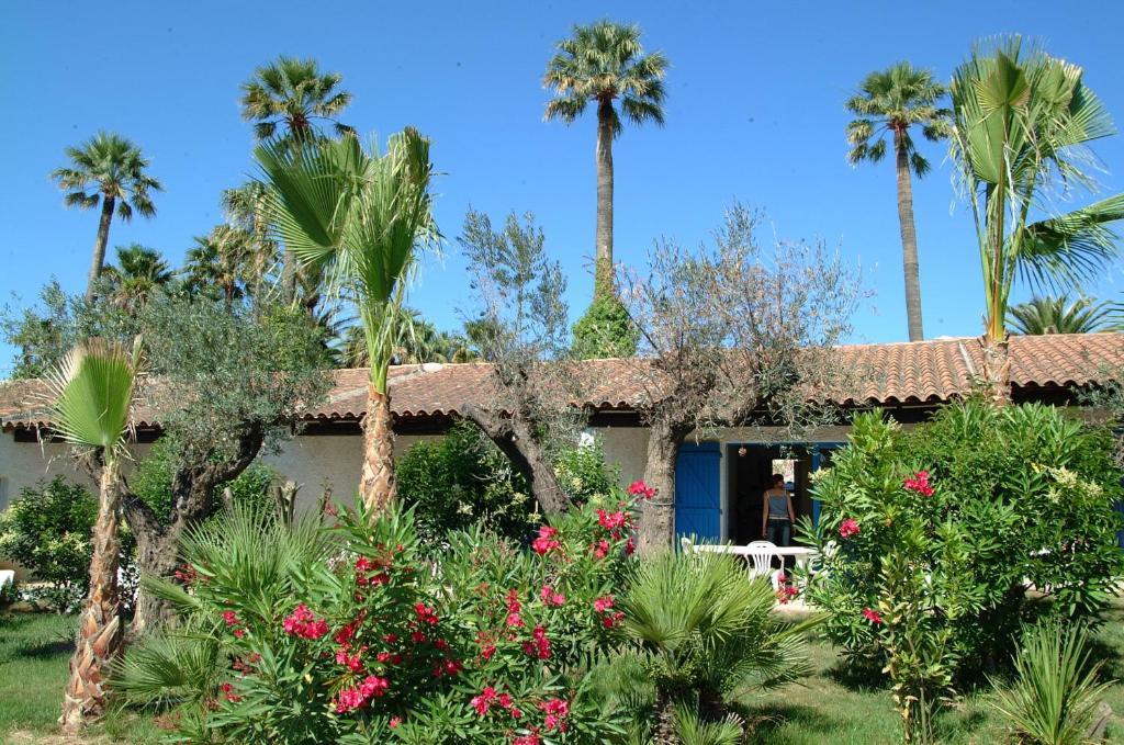 Residence La Palmeraie Fréjus Rum bild